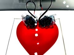 -BLACKSWAN黑天鹅(环球店)