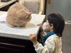 -宠爱国际动物医院·消化内科·心肾内科·ISFM猫友好(望京店)