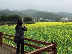 -红山村