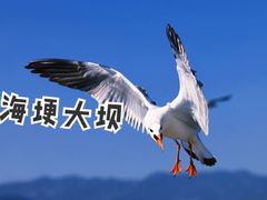 -海埂大坝