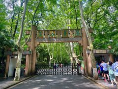-灵谷景区