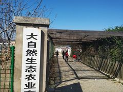 -大自然农场蔬菜草莓采摘园