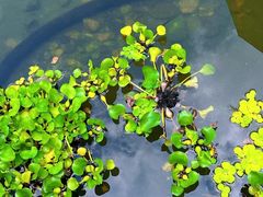 -古田会议纪念馆