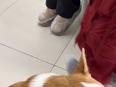 -怪兽屋·羊驼·猫咖·狗咖(俊华广场店)