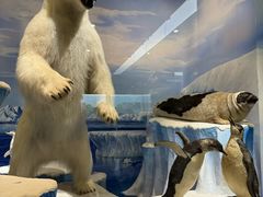 -国家自然博物馆