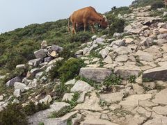 -灵山
