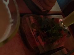 -Shanghai Brew House上海啤酒工坊(老外街店)