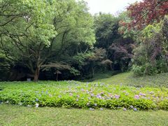 -柯岩风景区