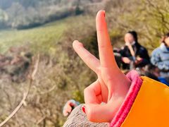 -敬亭山风景名胜区