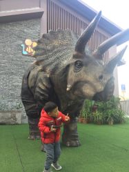 -恐龙探索乐园(磁器口店)