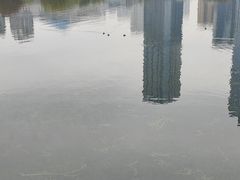 -后襄河公园