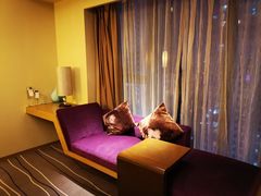 -青岛富力艾美酒店