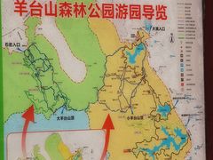 -阳台山森林公园