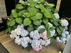 -茅庐·川粤精品私房菜(金沙遗址店)