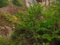-秦岭终南山世界地质公园翠华山景区