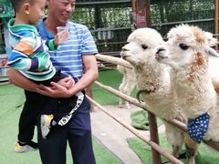 -秀丽东方