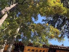 -五台山风景名胜区