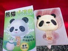 -都江堰中华大熊猫苑