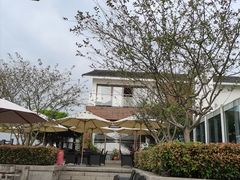-望海·帆船主题咖啡厅•品茗下午茶(石湖景区店)