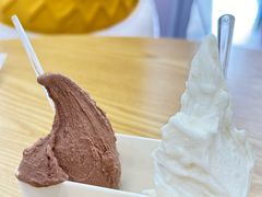 -野人先生Gelato(上海长宁龙之梦店)