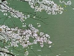-芳草地度假酒店·野炉中餐厅