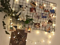 -豆老板的猫咖啡(碑林博物馆店)