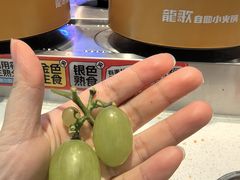 -龍歌自助小火锅(芝罘万达店)