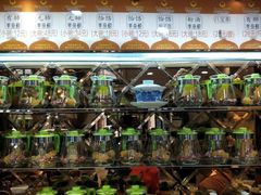 -杜优素羊杂碎(财满街店)