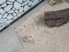 -海合安武汉极地海洋公园