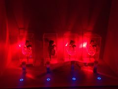 -Xcape异时刻密室逃脱魔法互动(瑞虹天地太阳宫店)