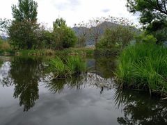 -西昌邛海湿地