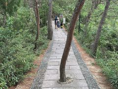 -千岛湖天屿景区