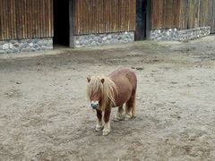 -石家庄市动物园