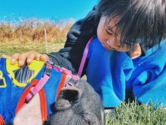 -安德鲁户外烧烤帐篷营地(马泉营店)