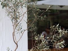 -COTTON CAFE(德信·中外公寓店)