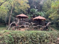 -宁波野生动物园