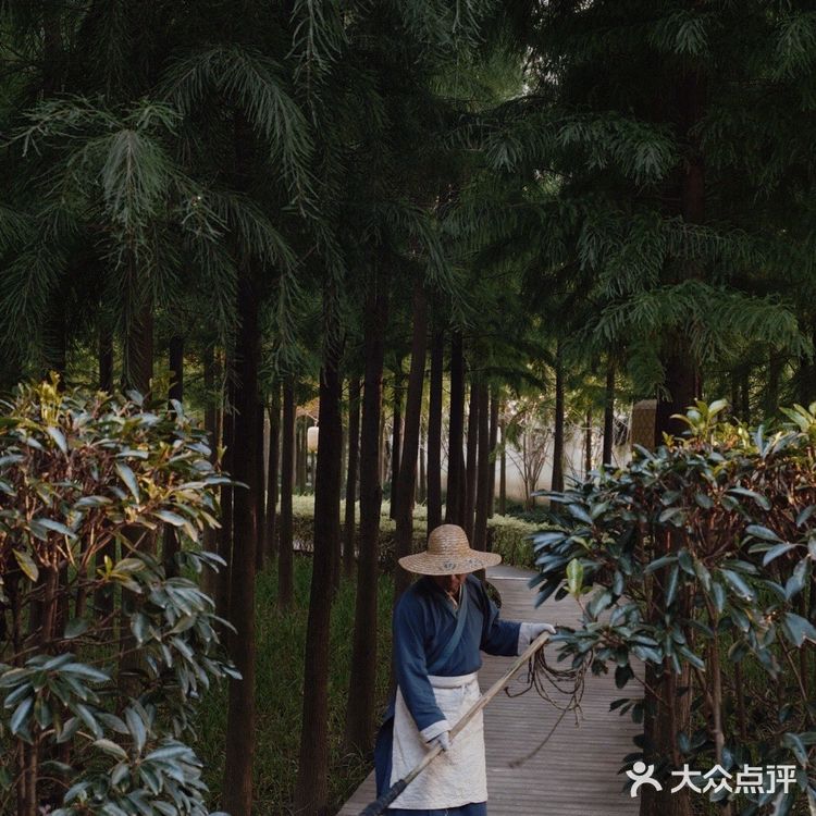 沉浸式古风体验，乘船入住