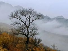 -阳台山自然风景区