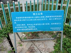 -铁山坪森林公园