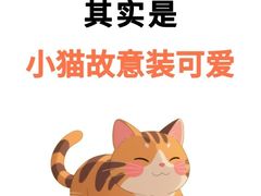 -pd派德宠物中心医院24H急重症·眼科中心·血液透析中心(嵩山北路店)