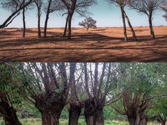 -亿利库布其七星湖沙漠生态旅游区