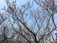 -苏州上方山国家森林公园