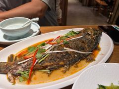 蔡家功夫鱼-蔡家酒楼(一德街店)