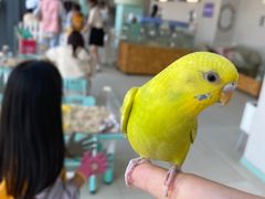 -怪兽屋·羊驼·猫咖·狗咖(俊华广场店)