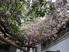 -深圳国际园林花卉博览园