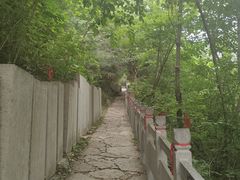 -五龙洞国家森林公园