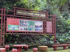 -广西龙虎山风景区