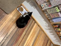 -猫的天空之城概念书店(杭州南宋御街店)