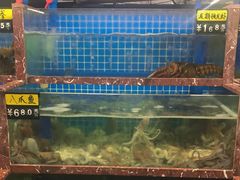水产区-海香园饭店