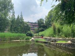 -成都市活水公园